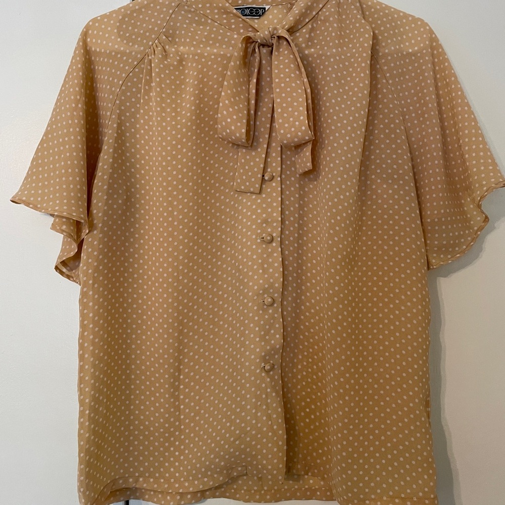 Vintage Polka Dot Blouse